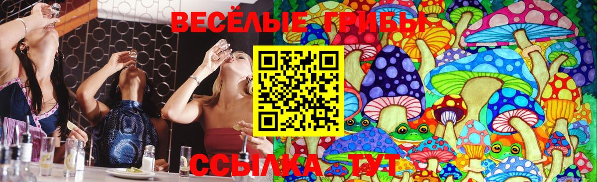 Псилоцибиновые грибы прущие грибы Гусиноозёрск